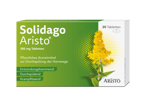Solidago Packshot Neu